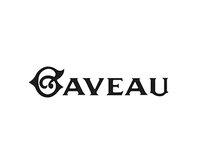 salle-gaveau