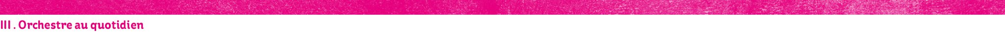 Banniere_Rose_3